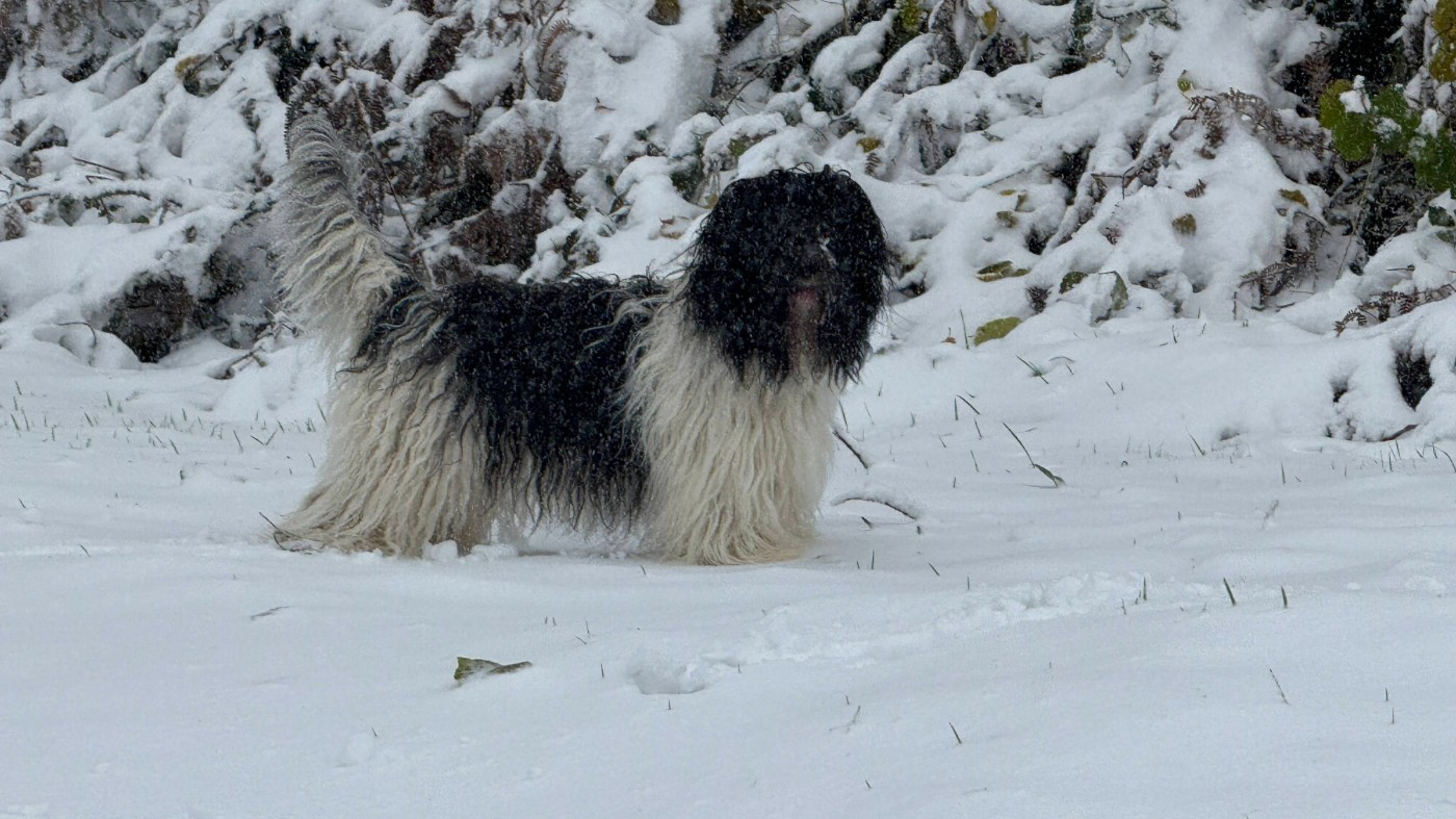 Naissance des bébés début mars 2026