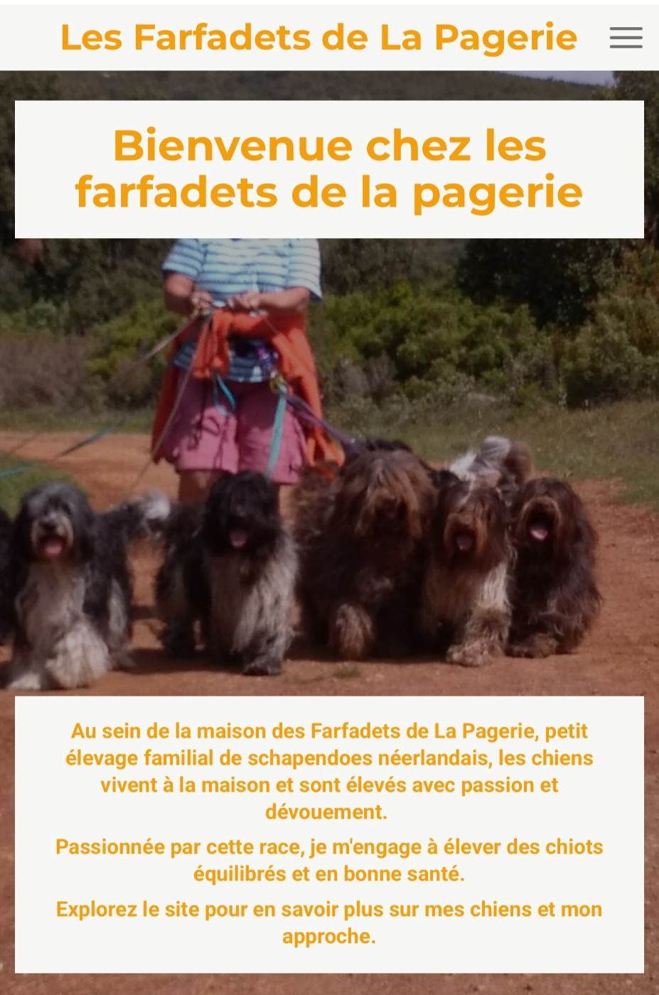 Des Farfadets De La Pagerie